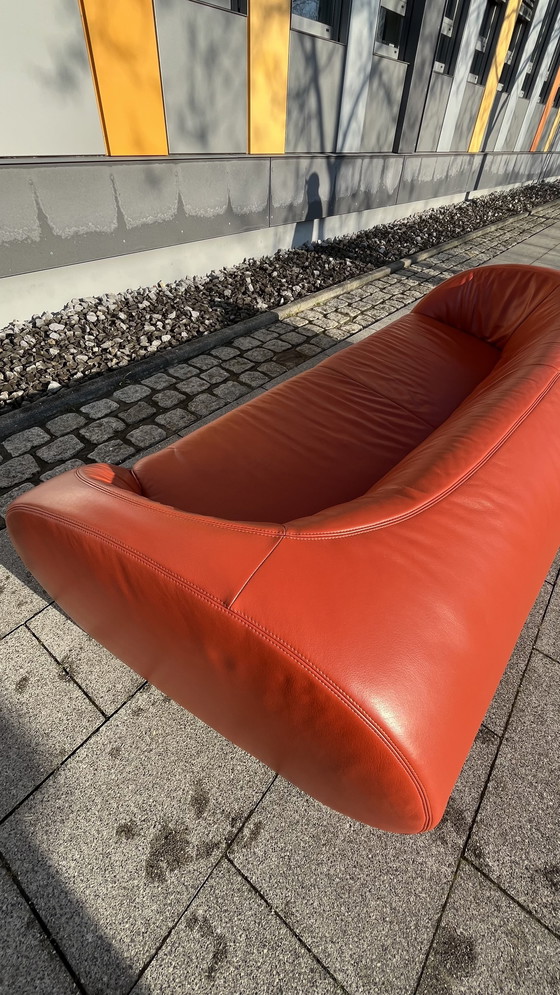 Image 1 of Koinor Design Sofa Pearl Leder Burgunder-Rot   3-Sitzer