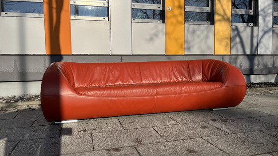 Image 1 of Koinor Design Sofa Pearl Leder Burgunder-Rot   3-Sitzer