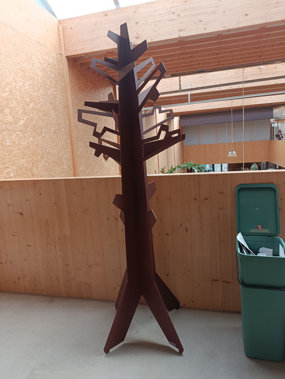 Image 1 of 4x aus dem Escher Wald für die Bäume