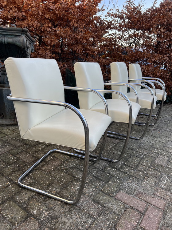 Image 1 of Vintage Brünner Freischwinger, Fasem