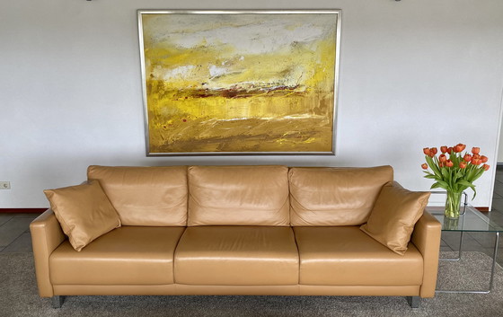 Image 1 of Montel Bank