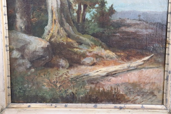 Image 1 of Italienische antike Ölgemälde auf Leinwand, Woodland Landscape