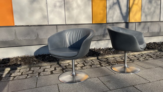 Image 1 of Walter Knoll Design Sessel Bob - Original Mit Tulpenfuß - 2Er Set