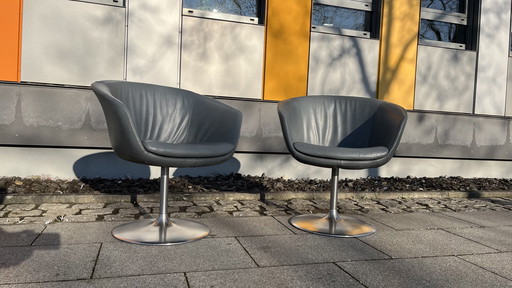 Walter Knoll Design Sessel Bob - Original Mit Tulpenfuß - 2Er Set