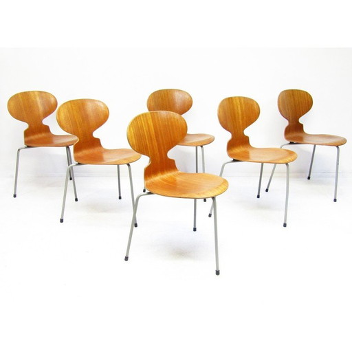 Satz von 6 Stühlen aus Teakholz von Arne Jacobsen für Fritz Hansen, 1950er Jahre