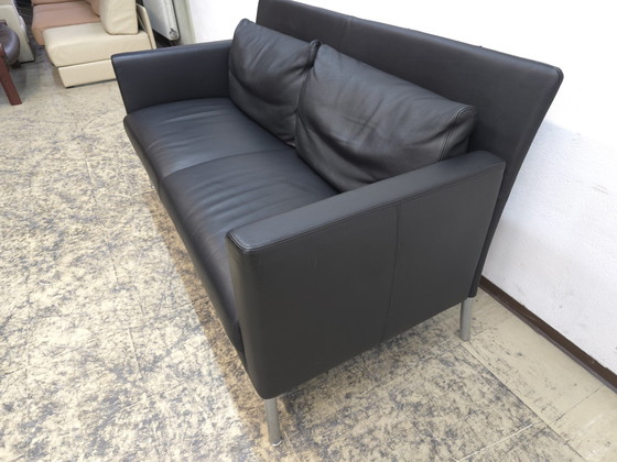 Image 1 of Walter Knoll Jason Sofa Designersofa Ledersofa Couch