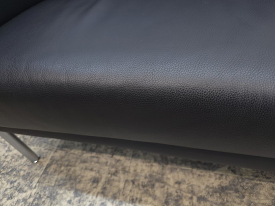 Image 1 of Walter Knoll Jason Sofa Designersofa Ledersofa Couch