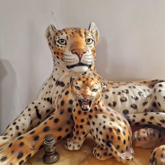 Image 1 of Ronzan mit Leopardenbaby