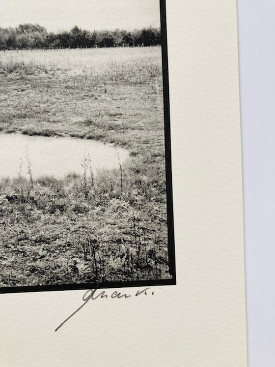 Image 1 of Ralph Janowski – Fotodruck ohne Titel