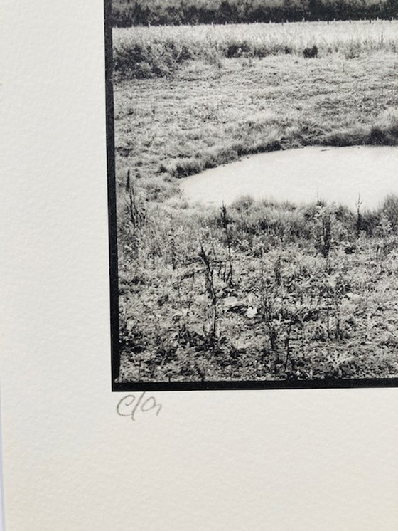 Image 1 of Ralph Janowski – Fotodruck ohne Titel