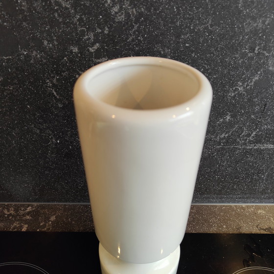 Image 1 of Spanische Kiefer - Sicart Cartigliano - Witte Vaas