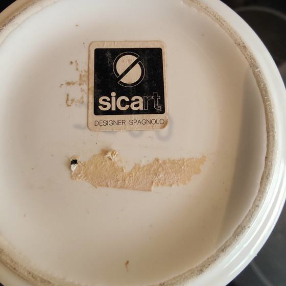 Image 1 of Spanische Kiefer - Sicart Cartigliano - Witte Vaas