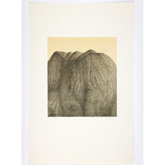 Image 1 of Klassische Lithographie "Portfolio Polymorphose" von François-Xavier Lalanne, 1978