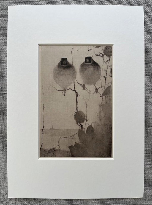 Jan Mankes 1889-1920 / Original gerahmte Heliogravüre Stieglitze in der Abenddämmerung 1923