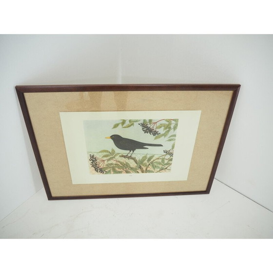 Image 1 of Klassisches Schulplakat, Tschechoslowakei 1960