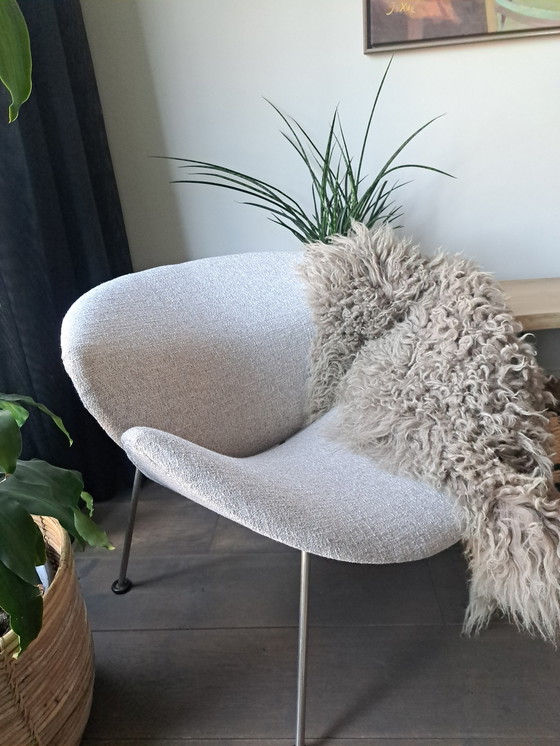 Image 1 of Artifort Orangenscheibe F437