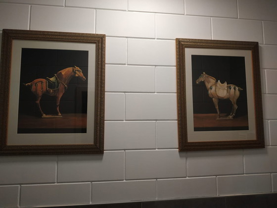 Image 1 of Danish G&C Interiors Wall Decoration Art (Potraits Of Tang Horses).