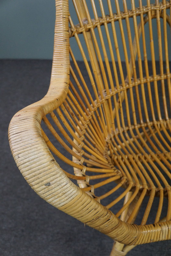 Image 1 of Besonderes 2-Sitzer-Sofa aus Rattan aus der Mitte des Jahrhunderts, Dutch Design, 1950