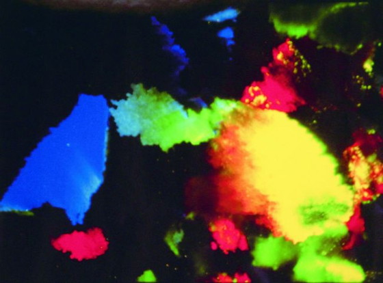 Image 1 of Wilma van Opstal - Gilson-Opal I