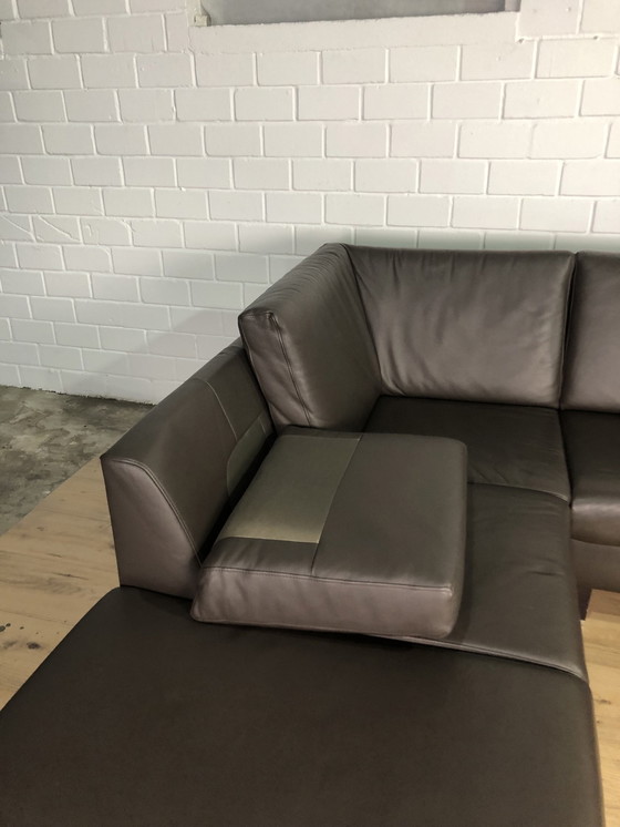 Image 1 of Ewald Schillig Ledersofa Ledercouch Lederecksofa Sofa Couch Ecksofa 