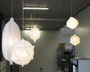 5x Radiolaria Bernotat-Lampen