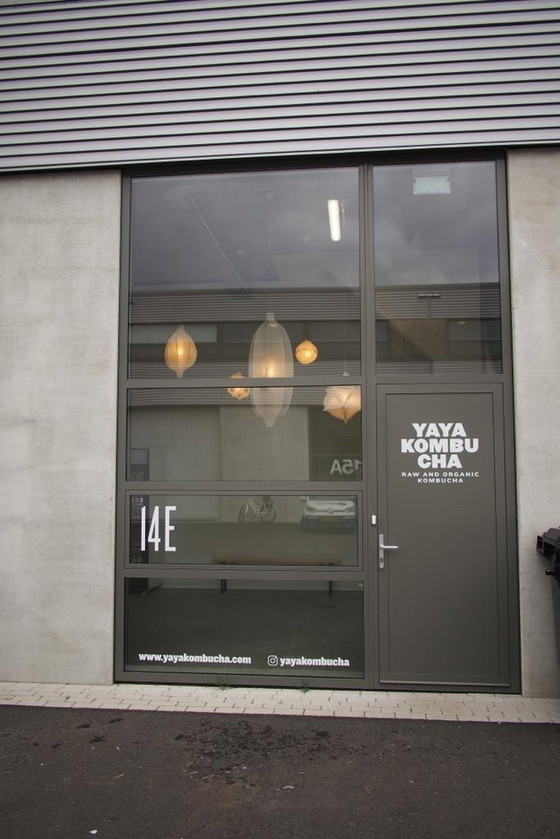 Image 1 of 5x Radiolaria Bernotat-Lampen