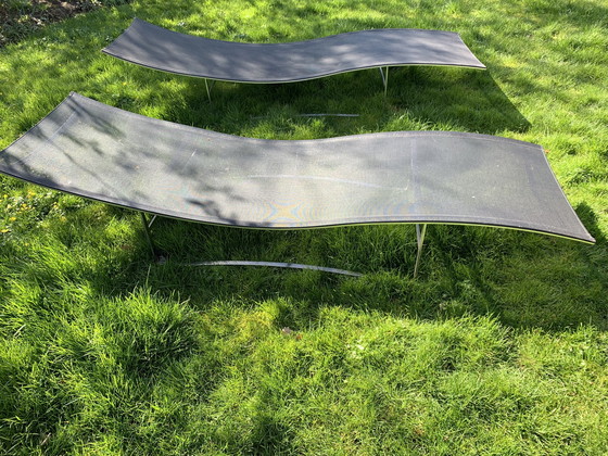 Image 1 of 2 x Liege Royal Botanica