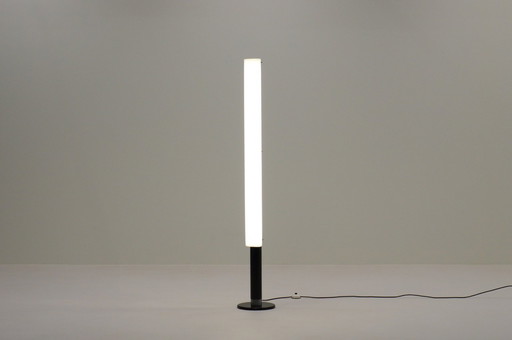 St84 Stehleuchte von Johan Niegeman für Artiforte, 1950er Jahre, Niederlande.