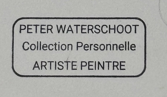 Image 1 of Peter Waterschoot 1969-2022 Wunderschönes Impressionistisches Gemälde