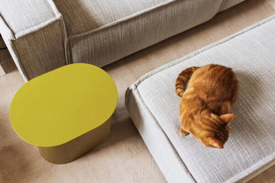 Image 1 of Fester Frottee-Teppich