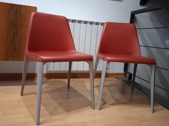 Image 1 of 2x Pedrali Sessel Ester 691 Design Patrick Jouin