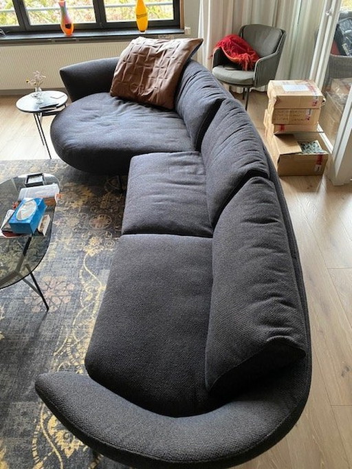 Leolux Rego Sofa und loses Kissen