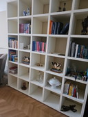 Cappellini Bücherregal