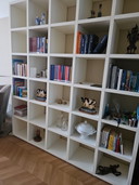 Cappellini Bücherregal