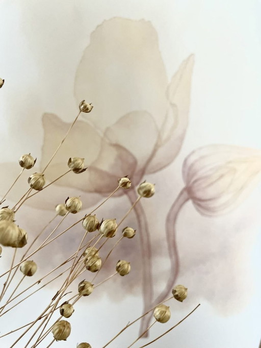 Fine Art Print Gerahmt: Anemone