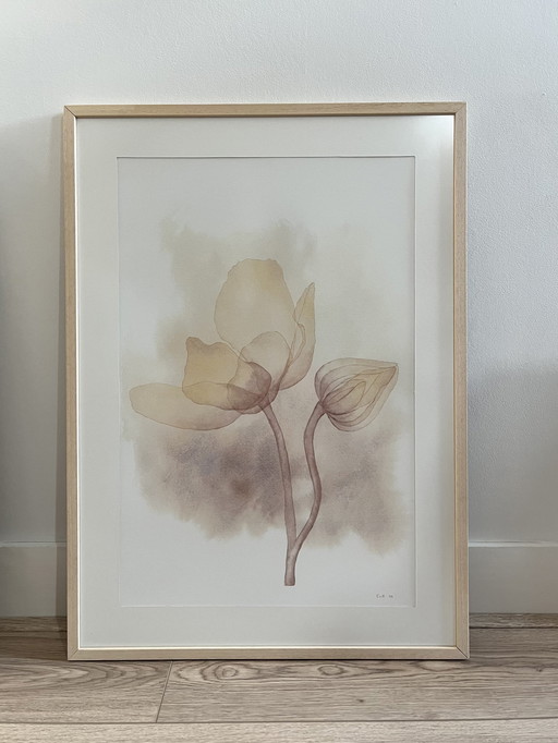 Fine Art Print Gerahmt: Anemone