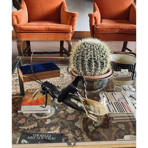 Image 1 of Grashüpfer aus Horn, handgefertigt, Mid Century, Frankreich 1960er Jahre