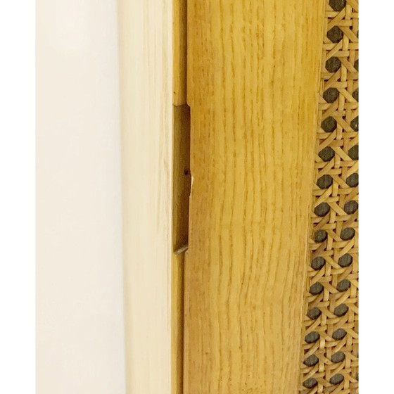 Image 1 of Alter Kleiderschrank von Derk Jan De Vries, Niederlande 1960