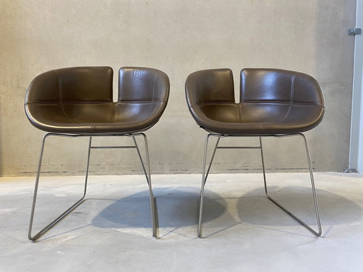 6x Moroso Fjord-Stuhl