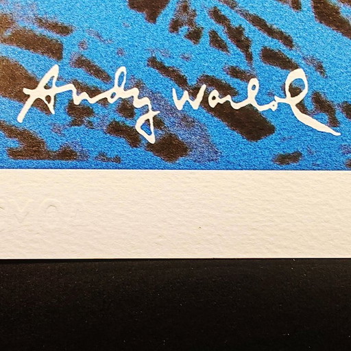 1980S Andy Warhol "Butterfly" Limited Edition Lithographie von Cmoa.