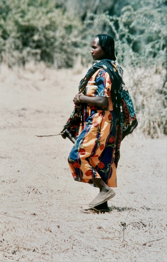 Image 1 of Sudanesin im Busch von Alain Walon