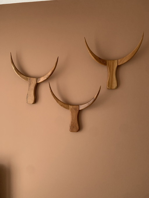 Büffelkopf Wanddekoration aus indonesischem Hartholz