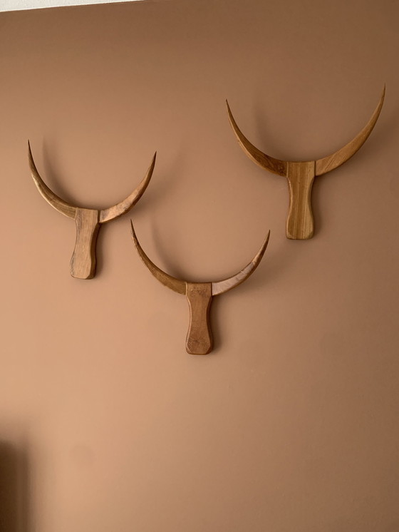 Image 1 of Büffelkopf Wanddekoration aus indonesischem Hartholz