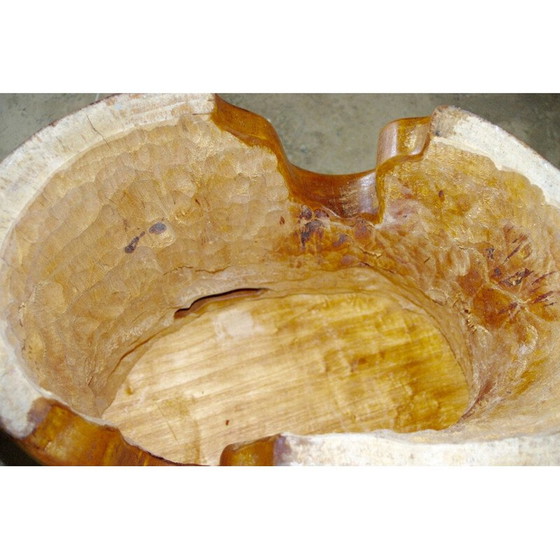 Image 1 of Vintage natürliche Akazie zoomorphic Nachttisch 1970