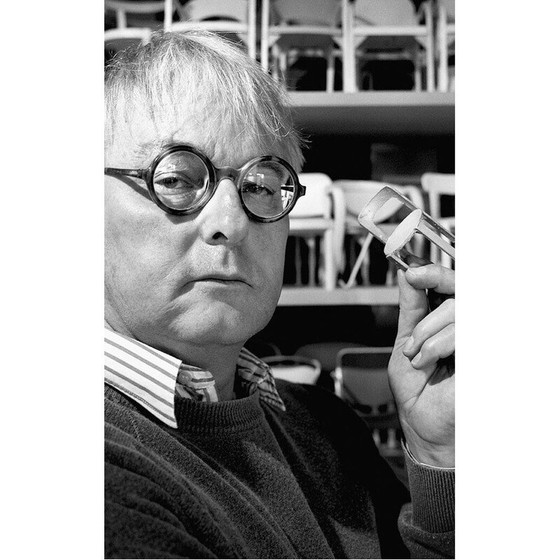 Image 1 of Paar Vintage-Esszimmerstühle von Bruno Rey für Kusch+Co, 1970er Jahre