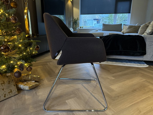 4X Artifort Gap Design Stuhl