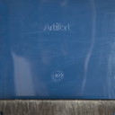 Artifort Blue Spirit Stadium Schalensitz