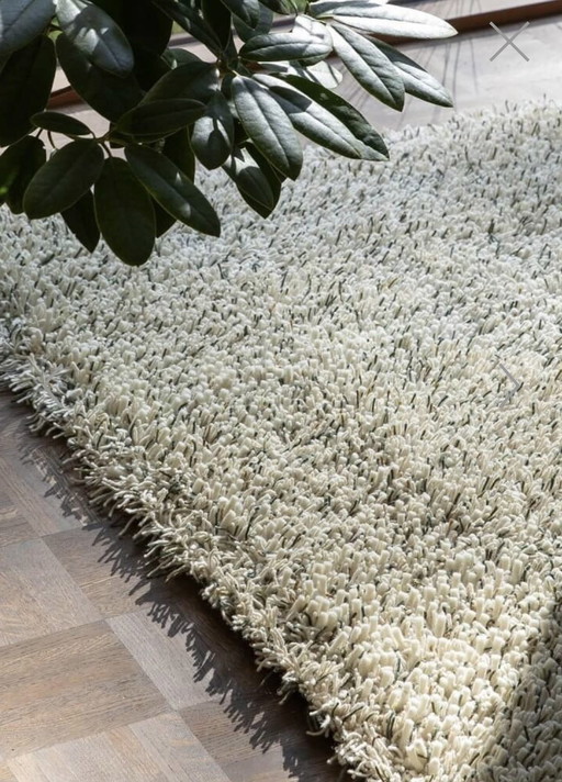 Brink & Campman Ray Soft Forest-Teppich