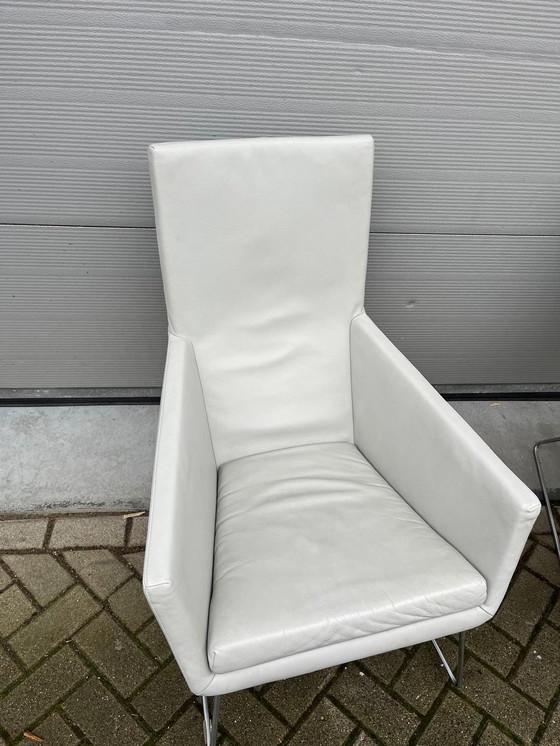 Image 1 of 2X Label Don Sessel Hellgrau Leder