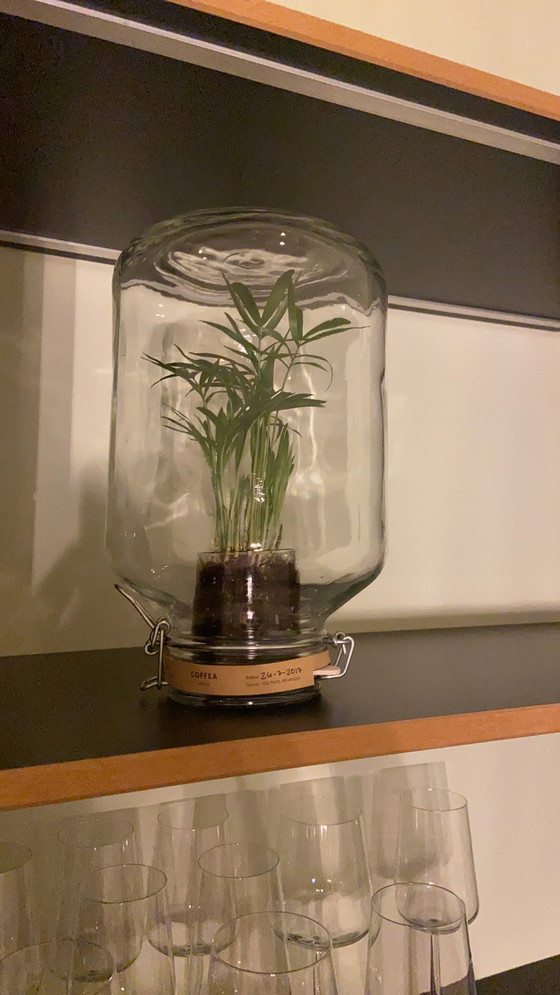 Image 1 of Pika-Pflanze